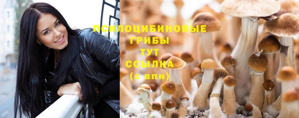 mdpv Алексин