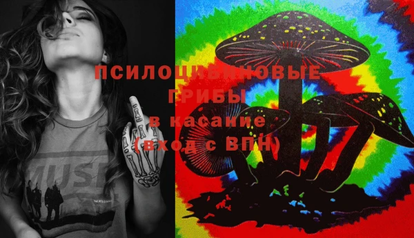 бутират Алзамай