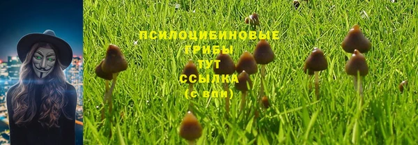 бутират Алзамай