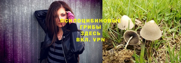 хмурый Алексеевка
