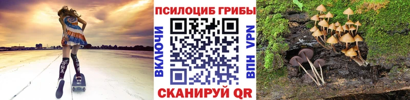 Галлюциногенные грибы Psilocybe  Кирс 